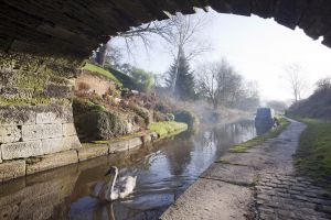 scholars green canal path 112 sm.jpg